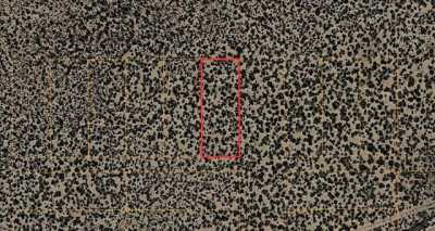 Residential Land For Rent in Los Lunas, New Mexico