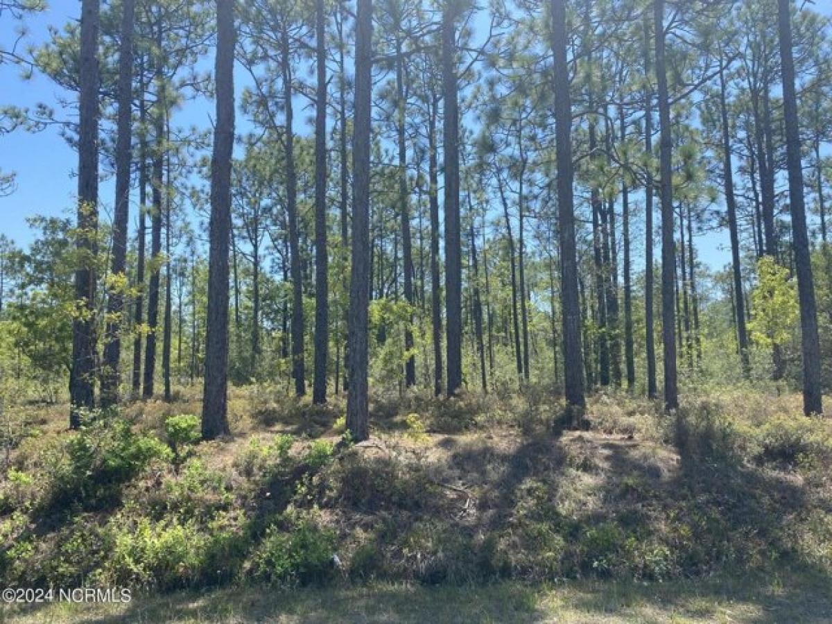 Picture of Residential Land For Sale in Southport, North Carolina, United States