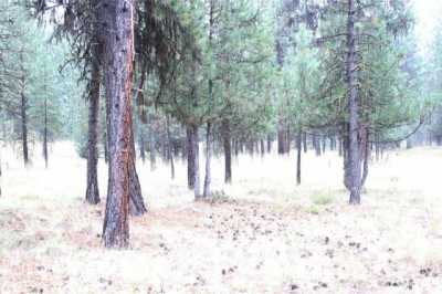Residential Land For Sale in Seeley Lake, Montana