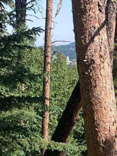 Residential Land For Sale in Lead, South Dakota