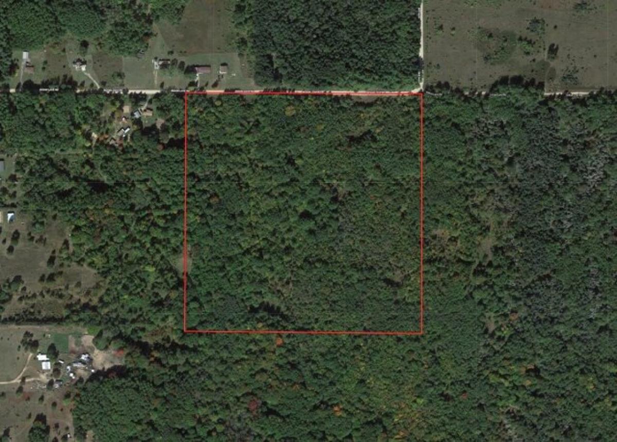 Picture of Residential Land For Sale in Remus, Michigan, United States