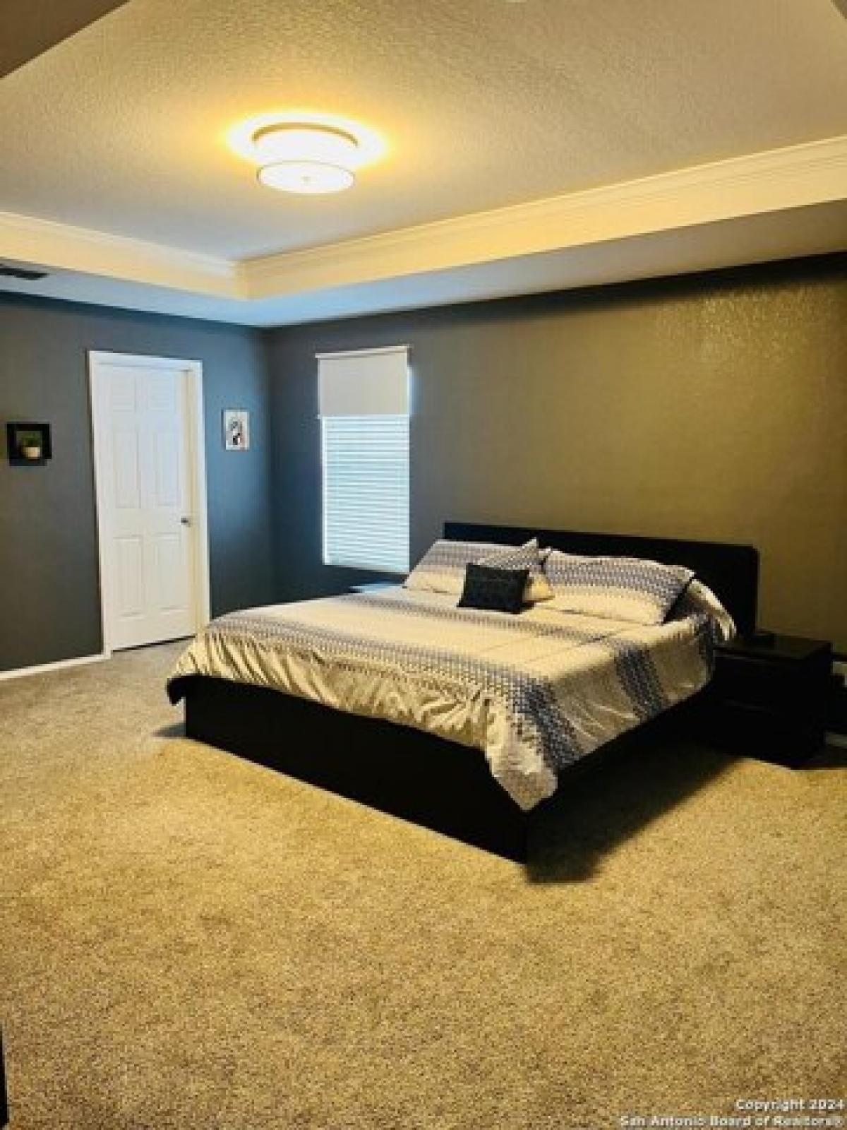 Picture of Home For Rent in San Antonio, Texas, United States