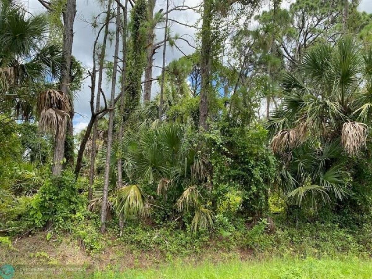 Picture of Residential Land For Sale in North Port, Florida, United States