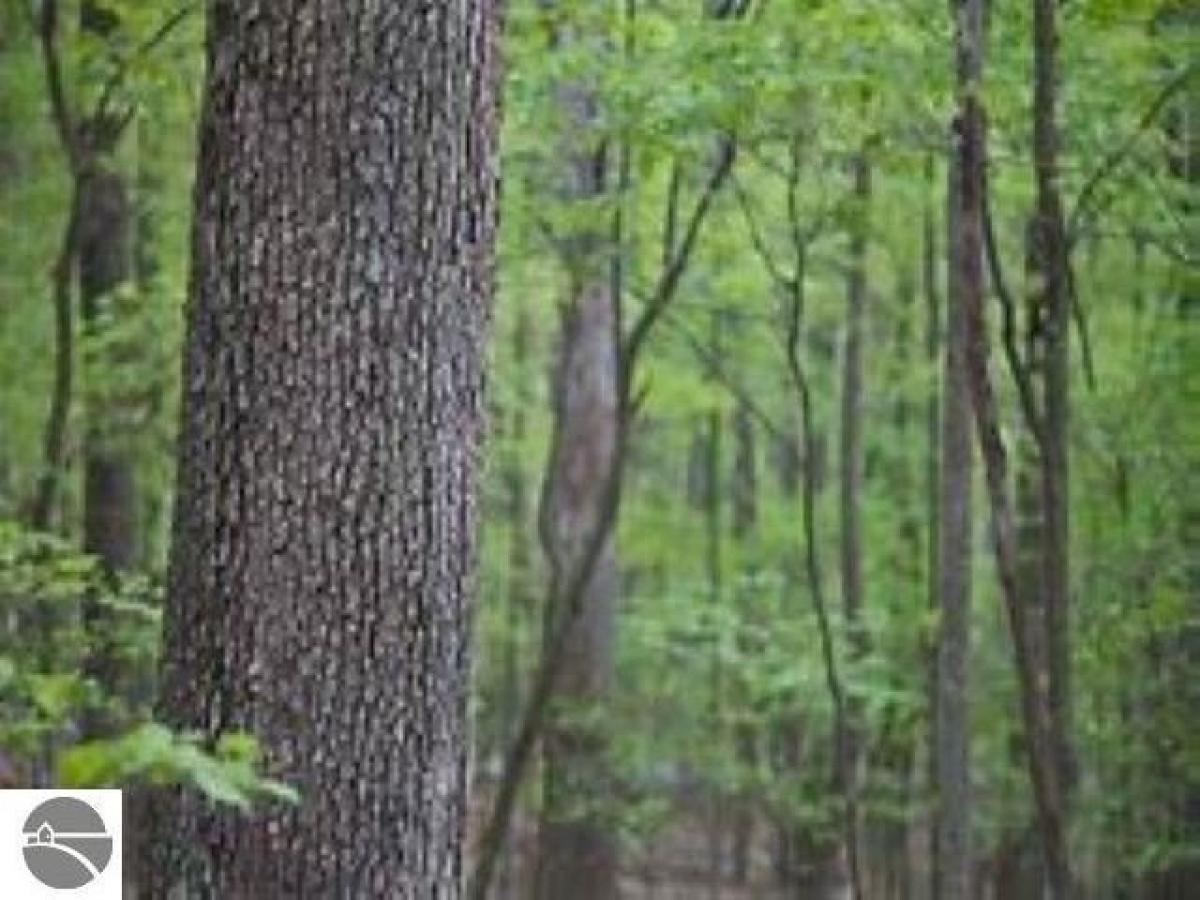 Picture of Home For Sale in Traverse City, Michigan, United States