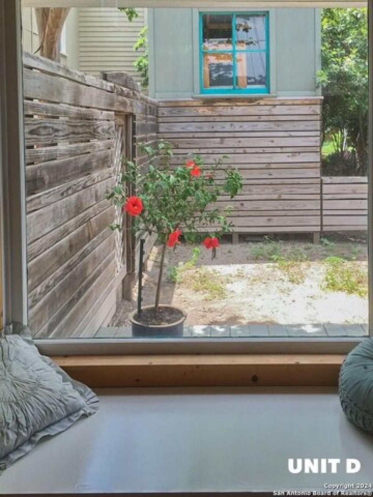 Picture of Apartment For Rent in San Antonio, Texas, United States