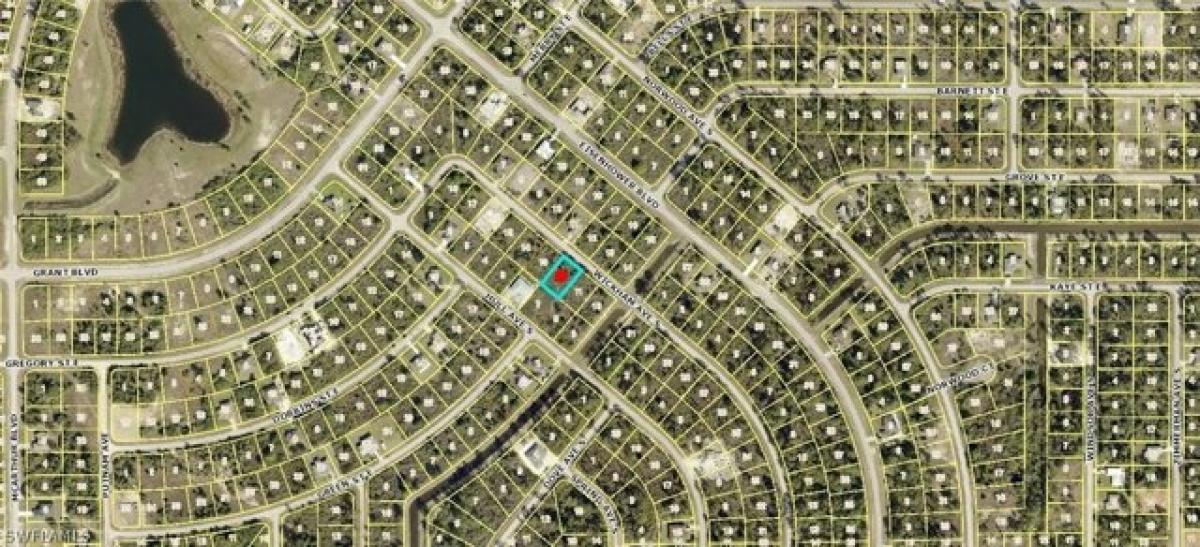 Picture of Residential Land For Sale in Lehigh Acres, Florida, United States