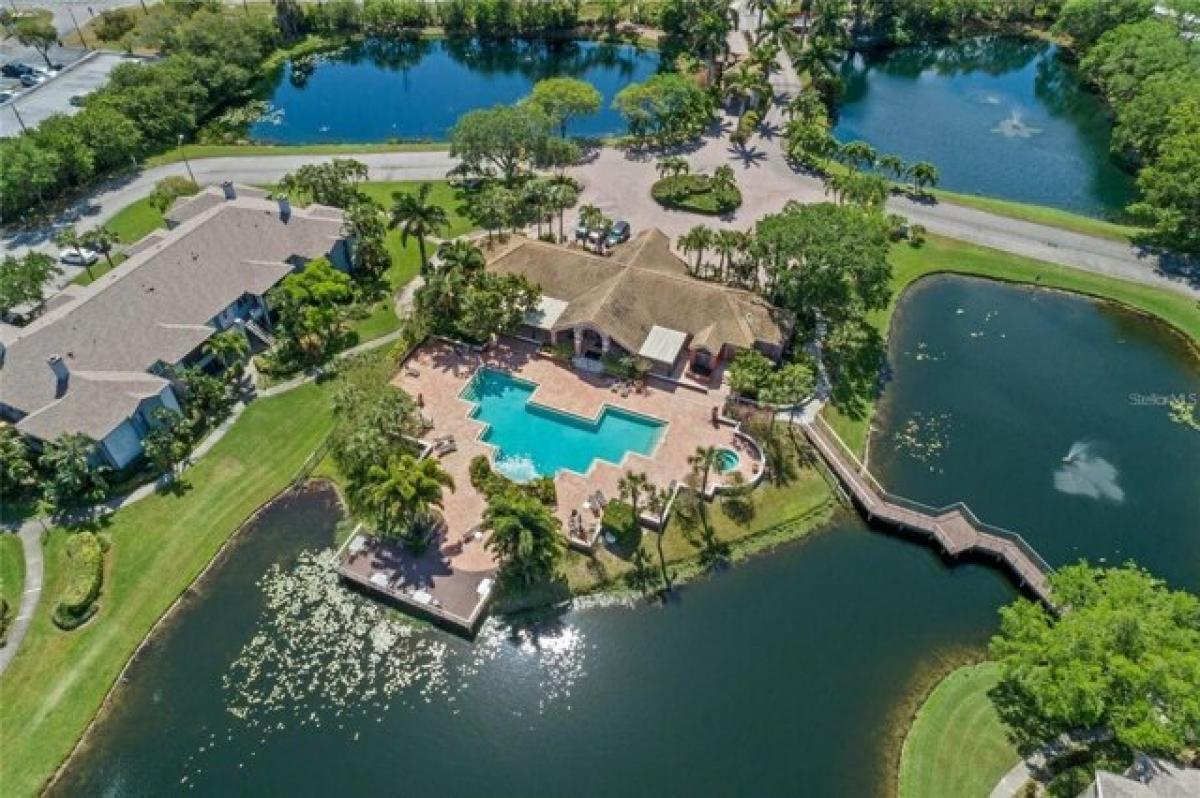 Picture of Home For Rent in Saint Petersburg, Florida, United States