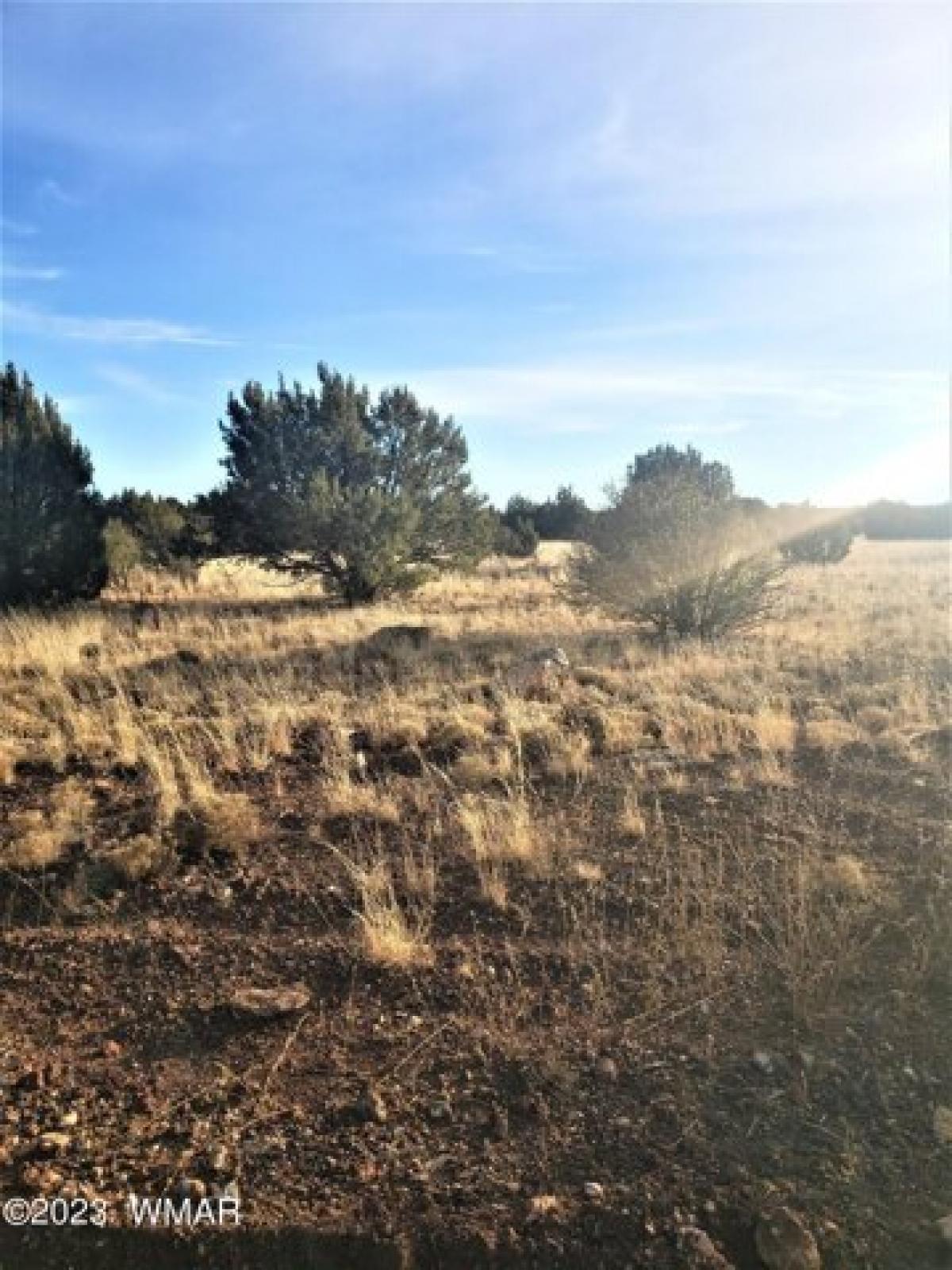 Picture of Residential Land For Sale in Show Low, Arizona, United States