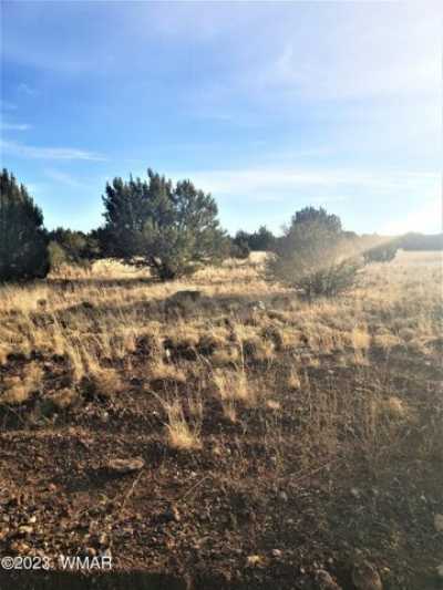Residential Land For Sale in Show Low, Arizona