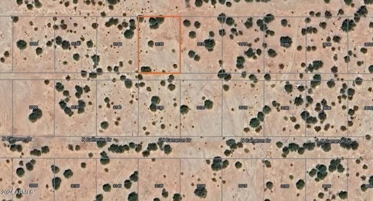 Picture of Residential Land For Rent in Eloy, Arizona, United States