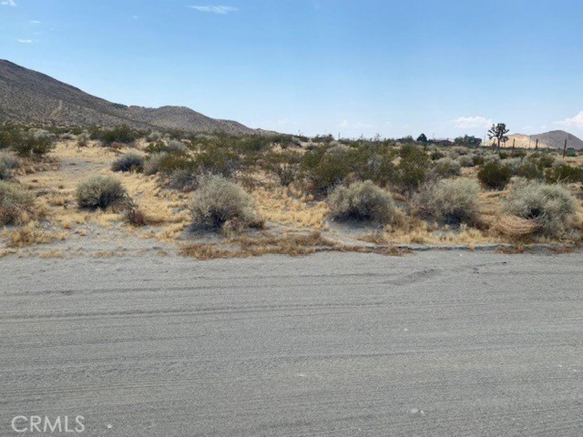 Picture of Residential Land For Sale in Adelanto, California, United States