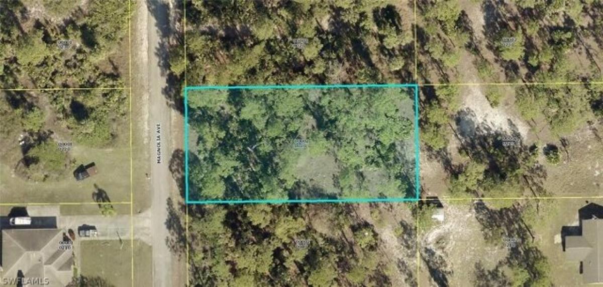 Picture of Residential Land For Sale in Lehigh Acres, Florida, United States