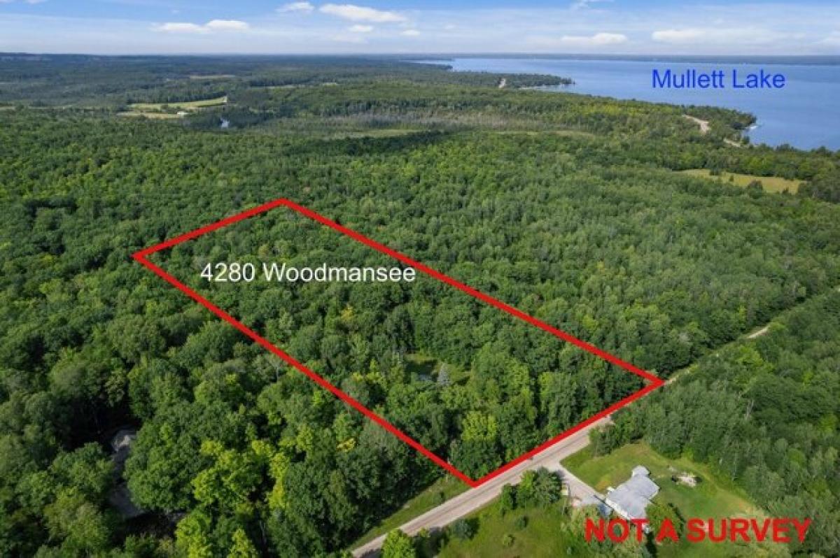 Picture of Home For Sale in Cheboygan, Michigan, United States