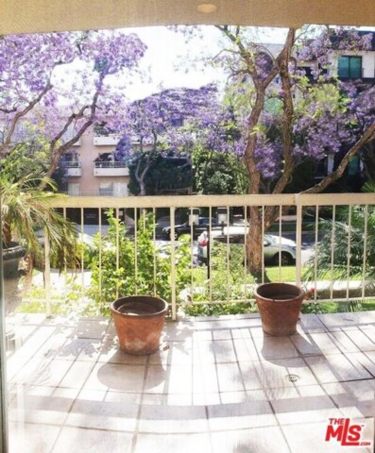 Picture of Home For Sale in Beverly Hills, California, United States