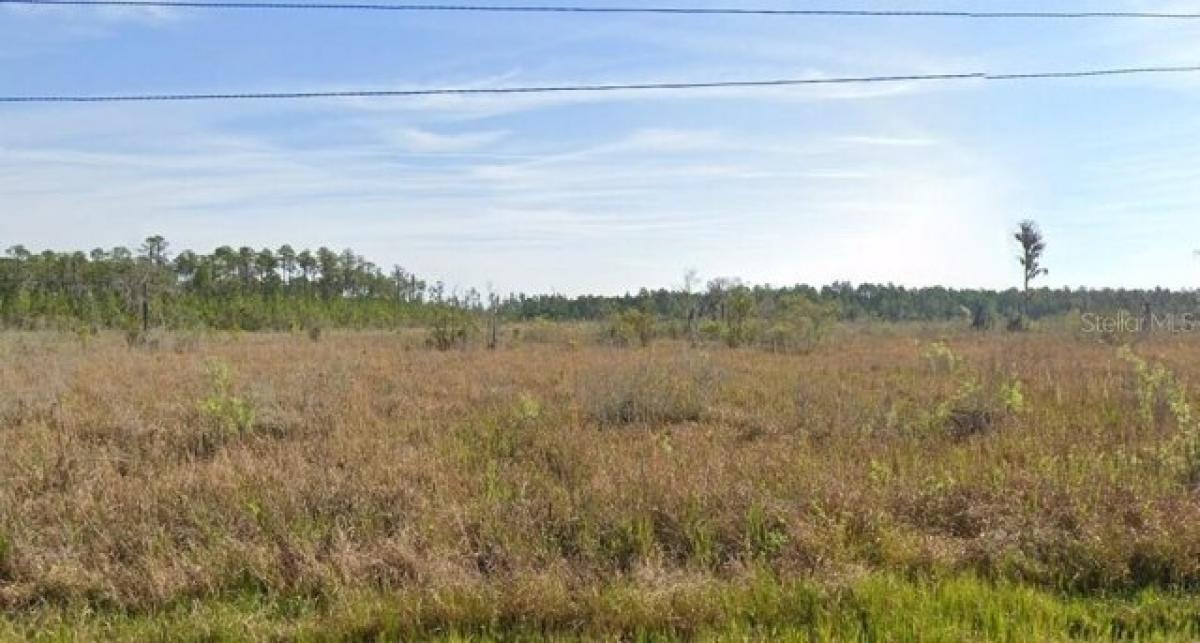 Picture of Residential Land For Rent in Polk City, Florida, United States
