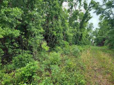 Residential Land For Sale in Madison, Florida