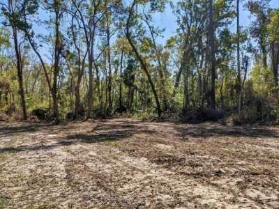Residential Land For Sale in Madison, Florida
