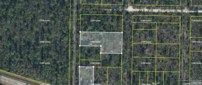 Residential Land For Sale in Altha, Florida