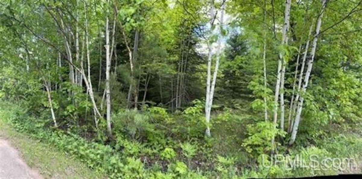 Picture of Residential Land For Sale in Ishpeming, Michigan, United States
