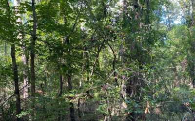 Residential Land For Rent in Live Oak, Florida