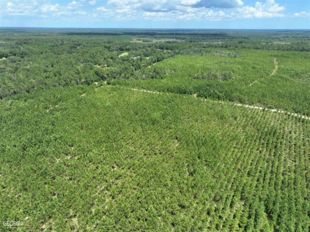 Picture of Residential Land For Sale in Hortense, Georgia, United States