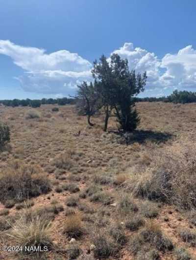 Residential Land For Rent in Williams, Arizona