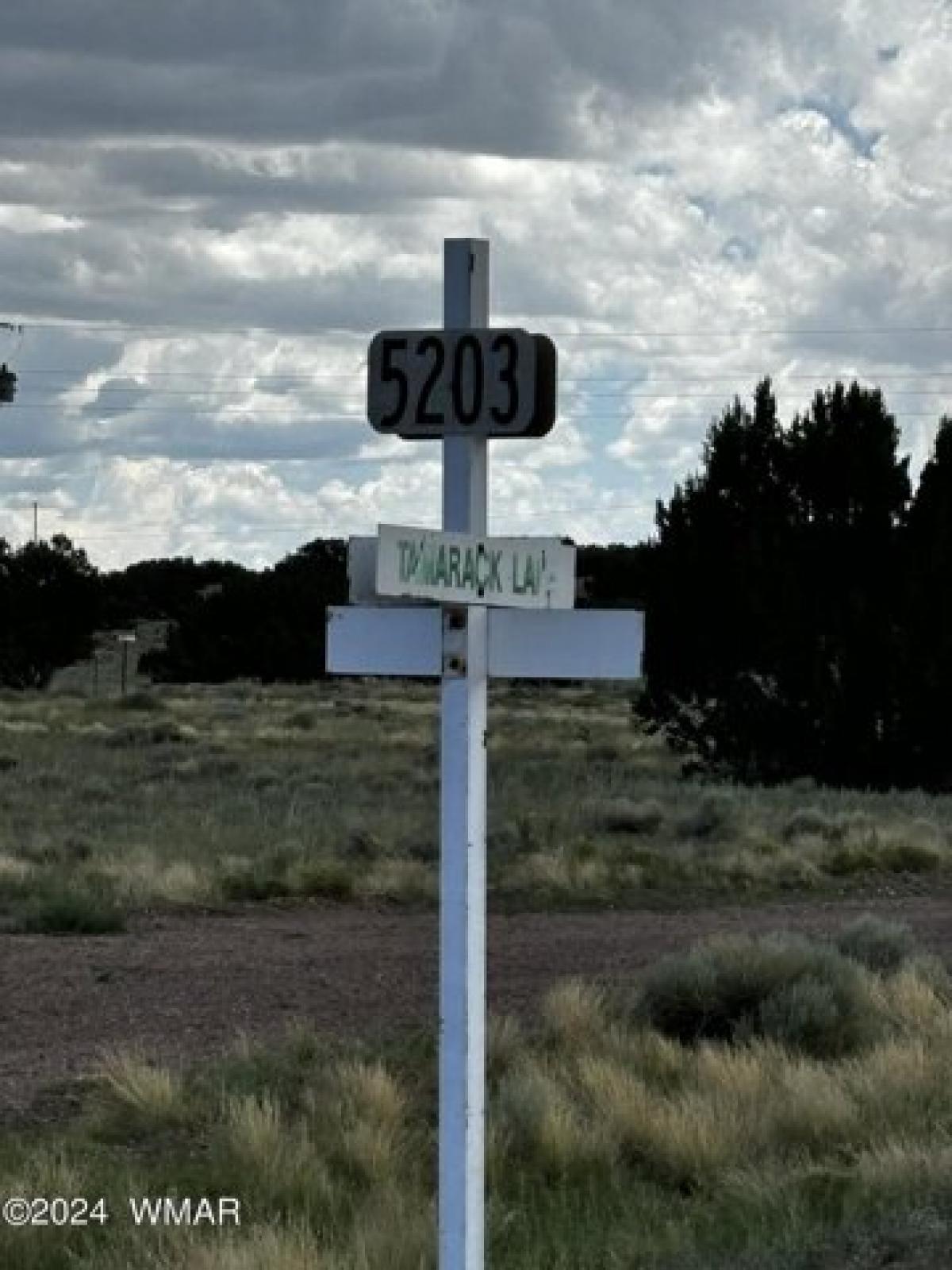 Picture of Residential Land For Rent in Concho, Arizona, United States