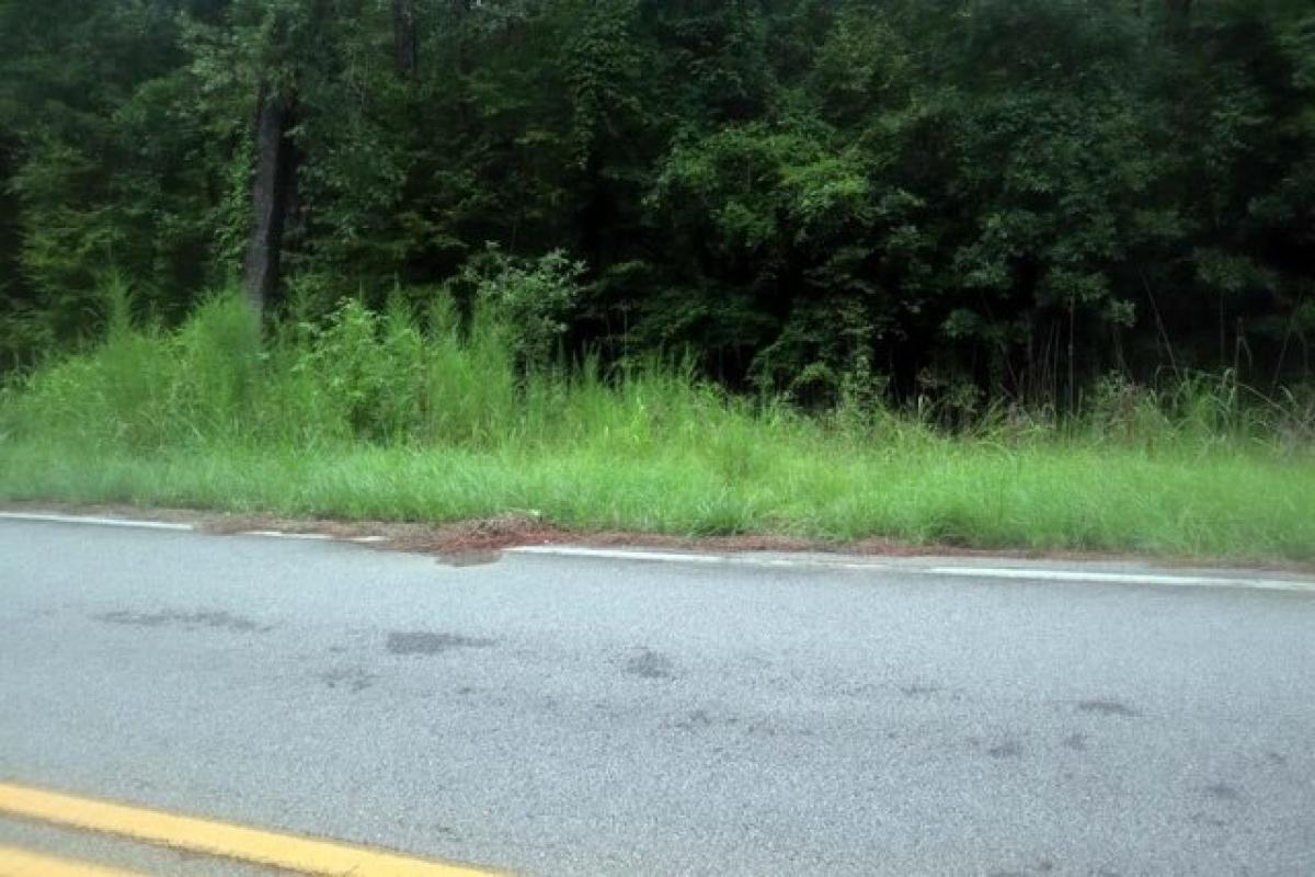 Picture of Residential Land For Rent in Sparta, Georgia, United States