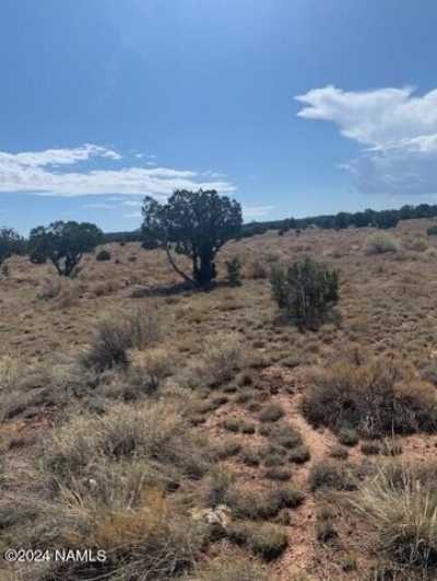 Residential Land For Rent in Williams, Arizona