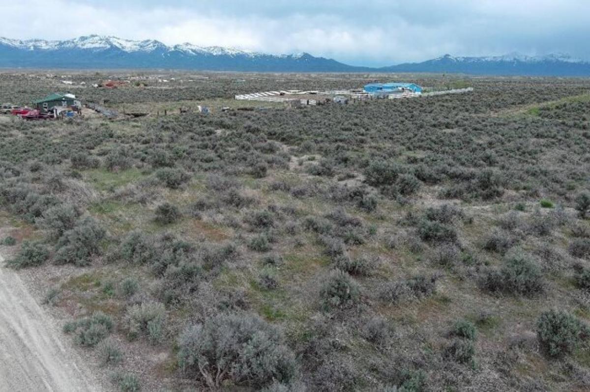Picture of Residential Land For Rent in Deeth, Nevada, United States