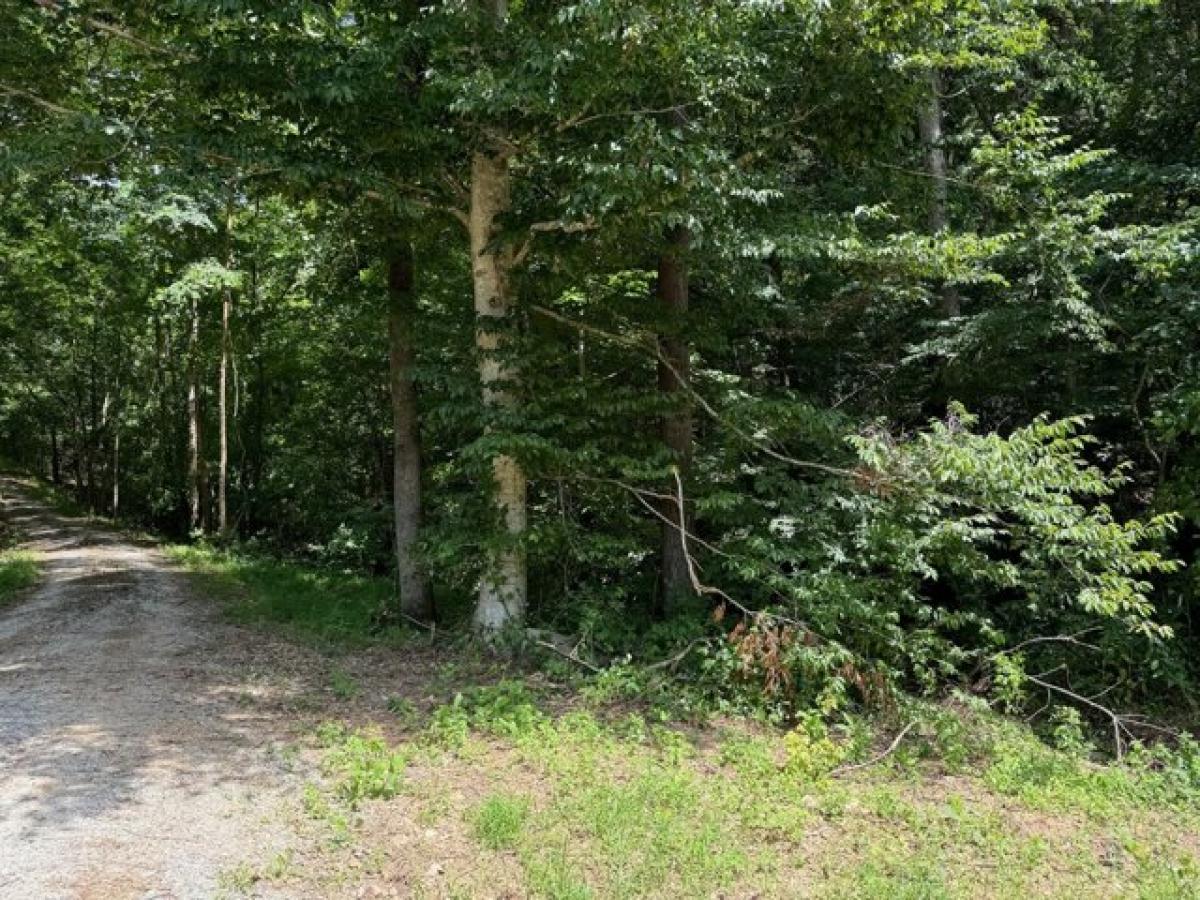 Picture of Residential Land For Sale in Linden, Tennessee, United States