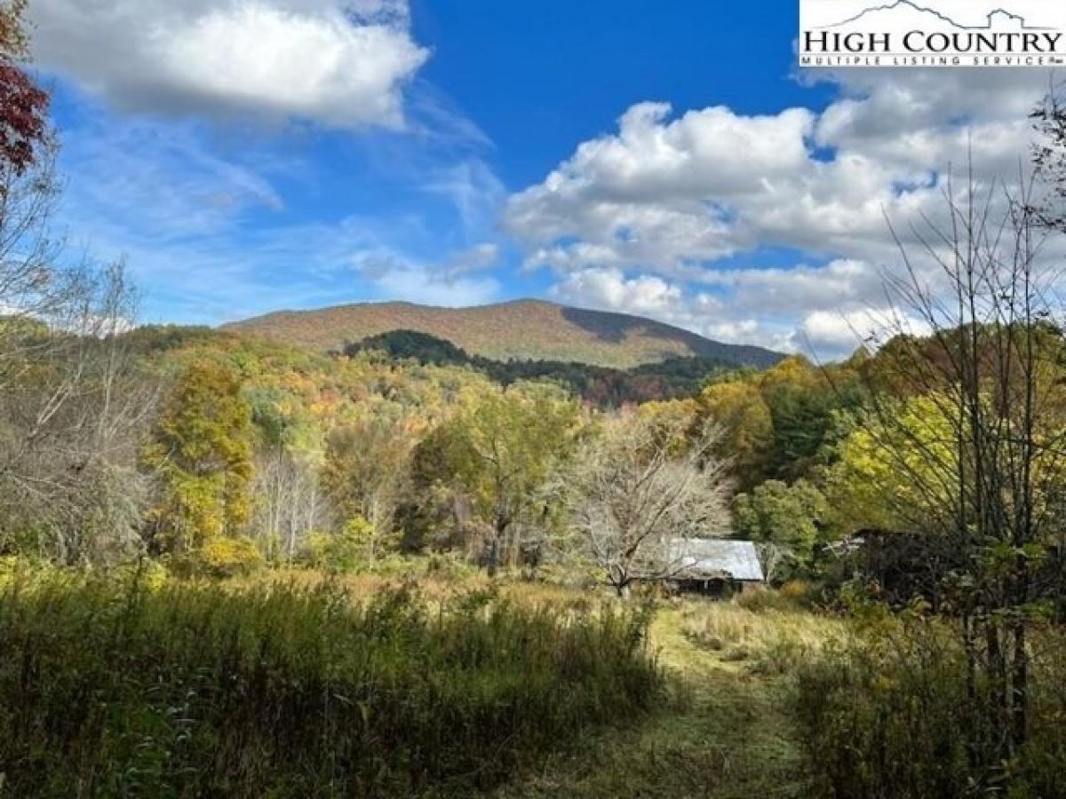 Picture of Residential Land For Sale in Elk Park, North Carolina, United States