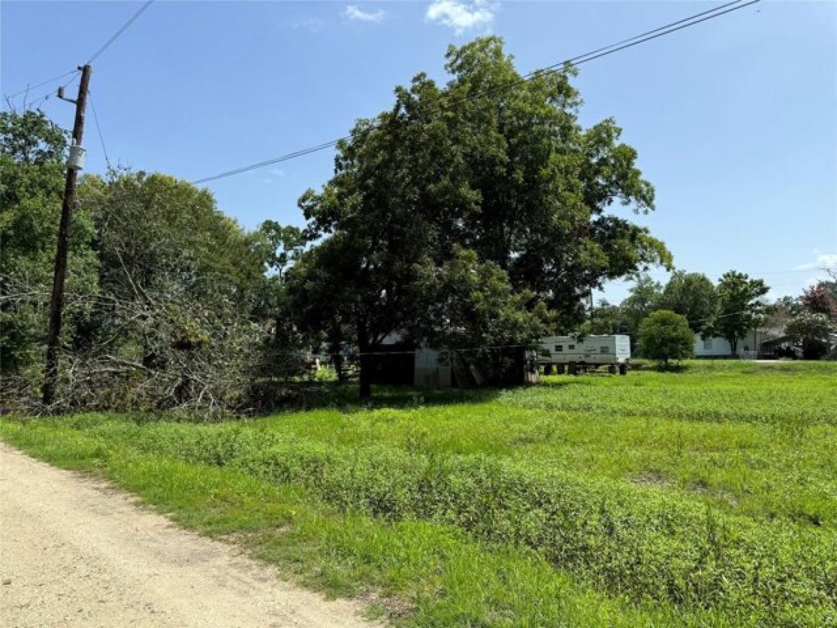 Picture of Residential Land For Sale in Trinity, Texas, United States