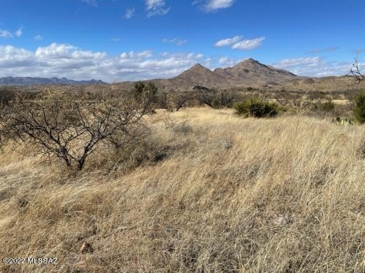 Picture of Residential Land For Rent in Rio Rico, Arizona, United States