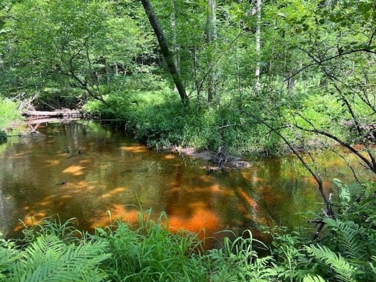 Picture of Residential Land For Sale in Wausaukee, Wisconsin, United States