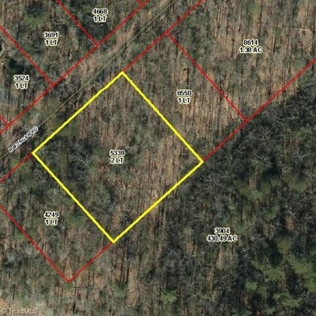 Picture of Residential Land For Sale in Lowgap, North Carolina, United States