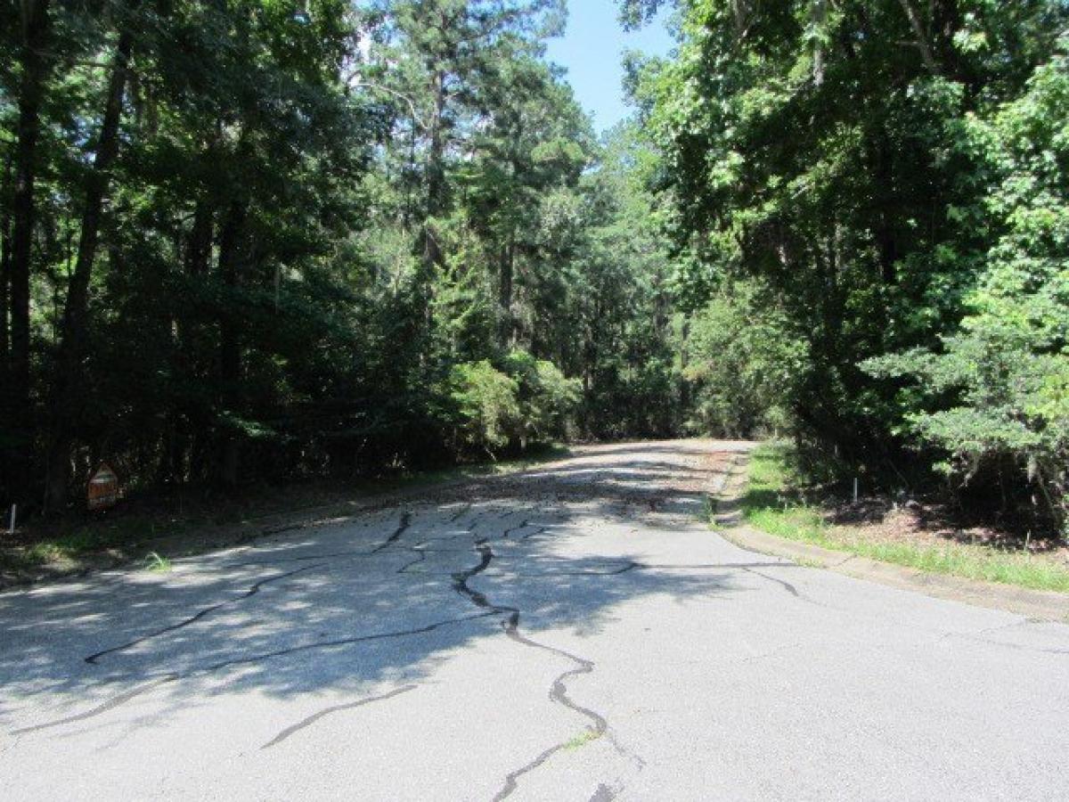 Picture of Residential Land For Rent in Huntsville, Texas, United States