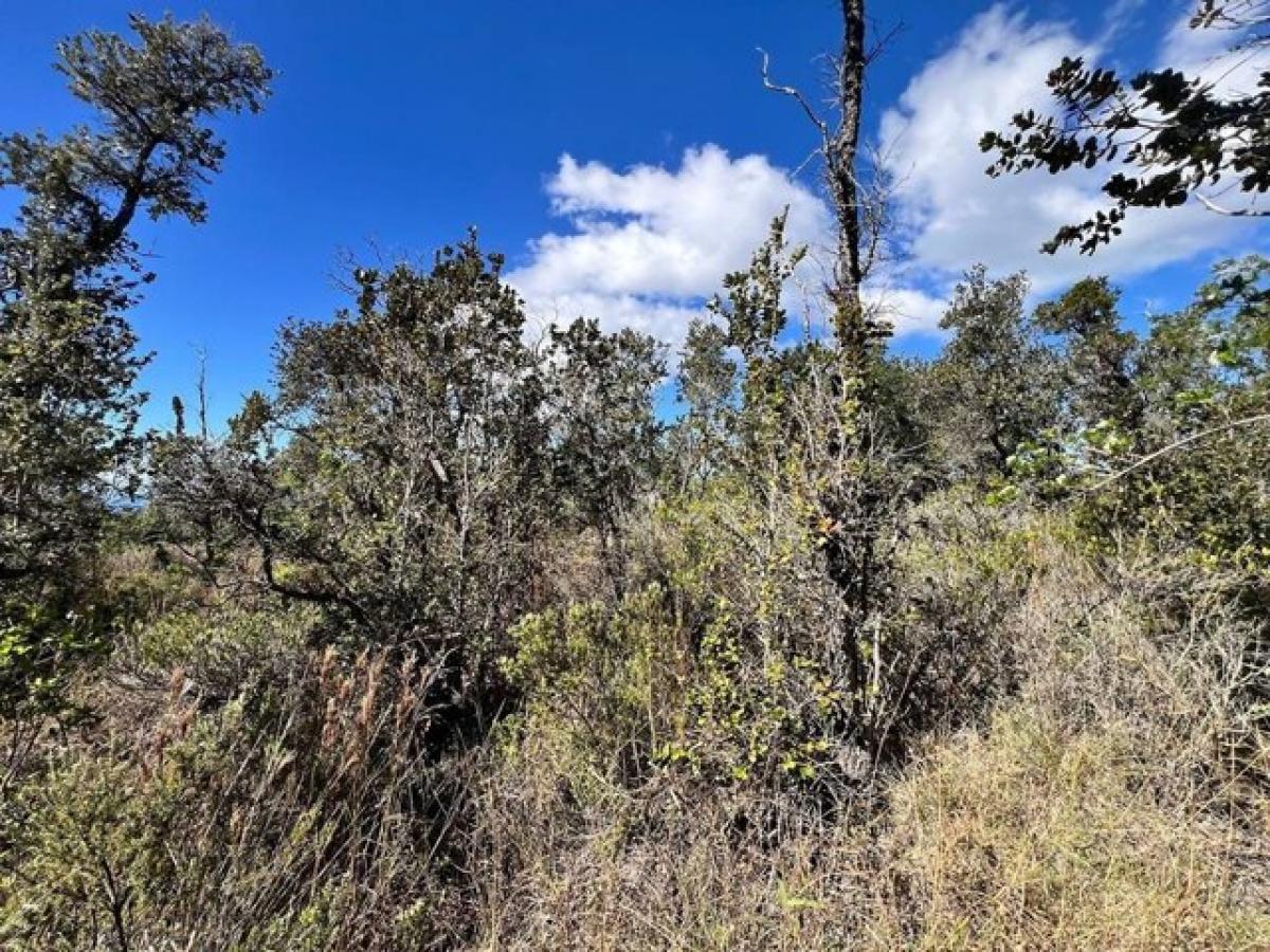 Picture of Residential Land For Sale in Ocean View, Hawaii, United States