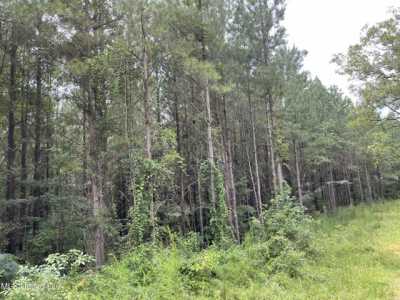 Residential Land For Sale in Philadelphia, Mississippi