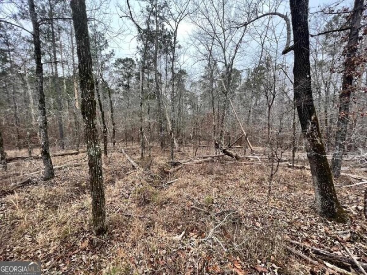 Picture of Residential Land For Rent in Sparta, Georgia, United States