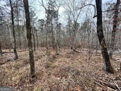 Residential Land For Rent in Sparta, Georgia