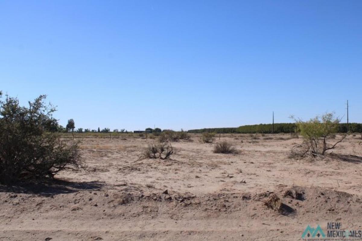 Picture of Residential Land For Rent in Deming, New Mexico, United States