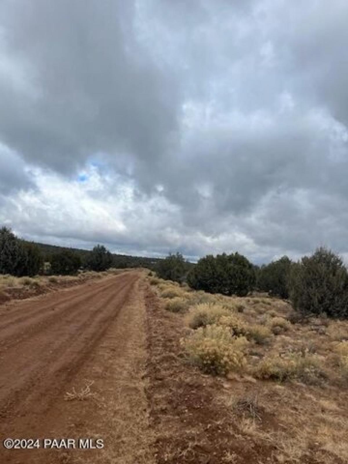 Picture of Residential Land For Rent in Seligman, Arizona, United States