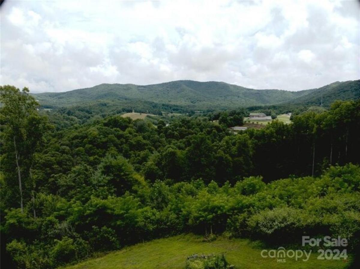 Picture of Home For Sale in Spruce Pine, North Carolina, United States