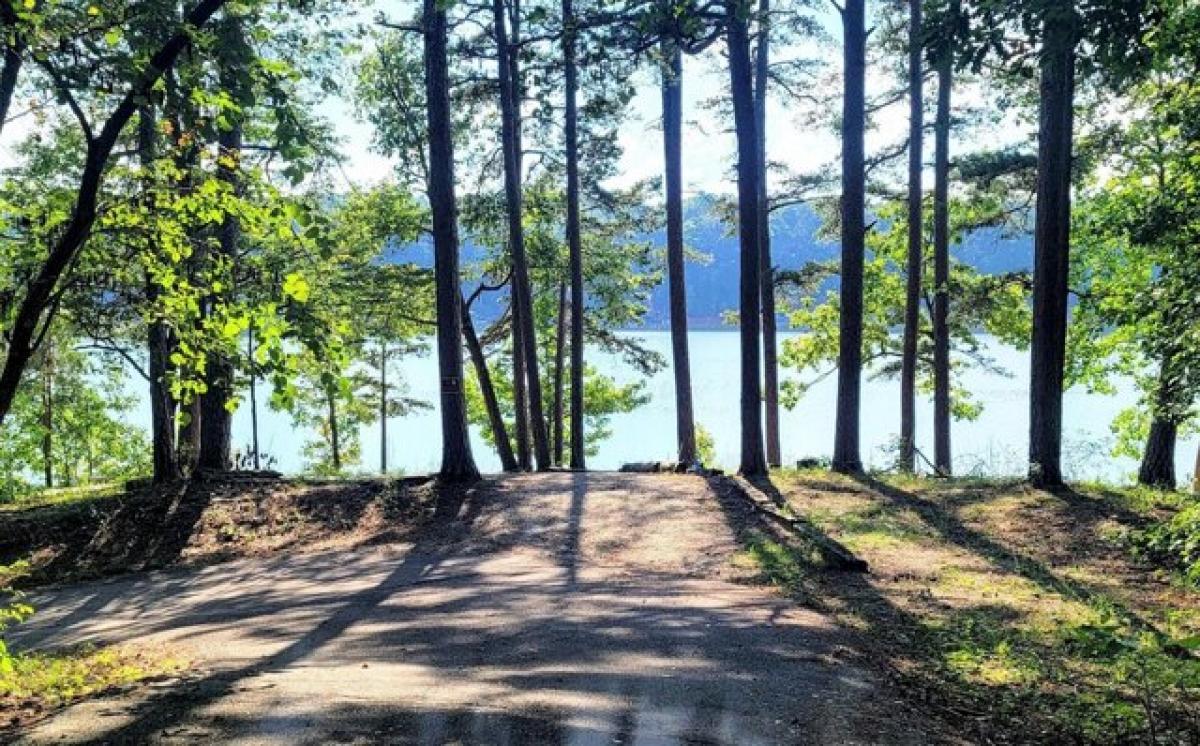 Picture of Residential Land For Sale in Martin, Georgia, United States