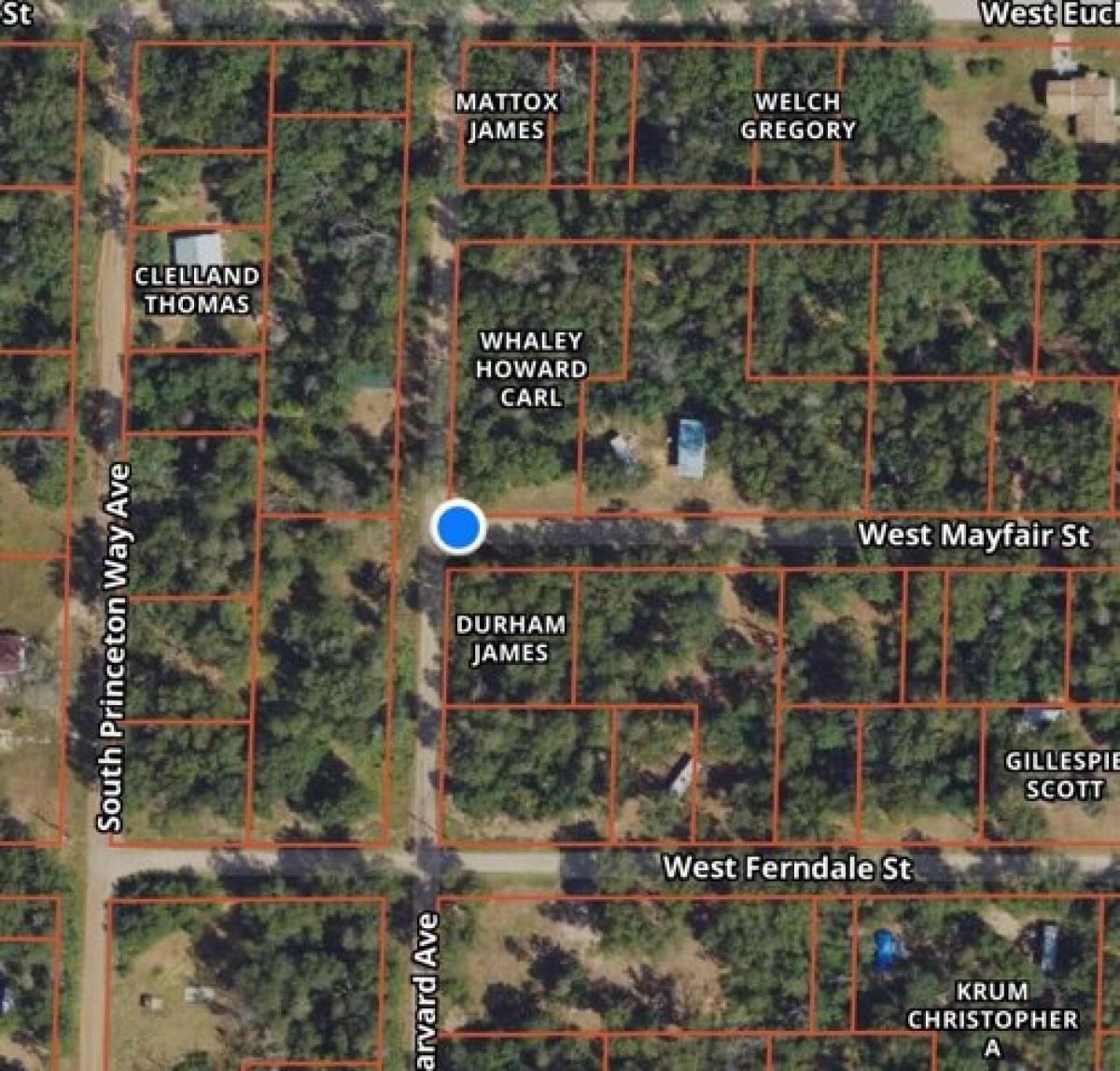 Picture of Residential Land For Rent in Baldwin, Michigan, United States