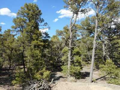 Residential Land For Sale in Tijeras, New Mexico