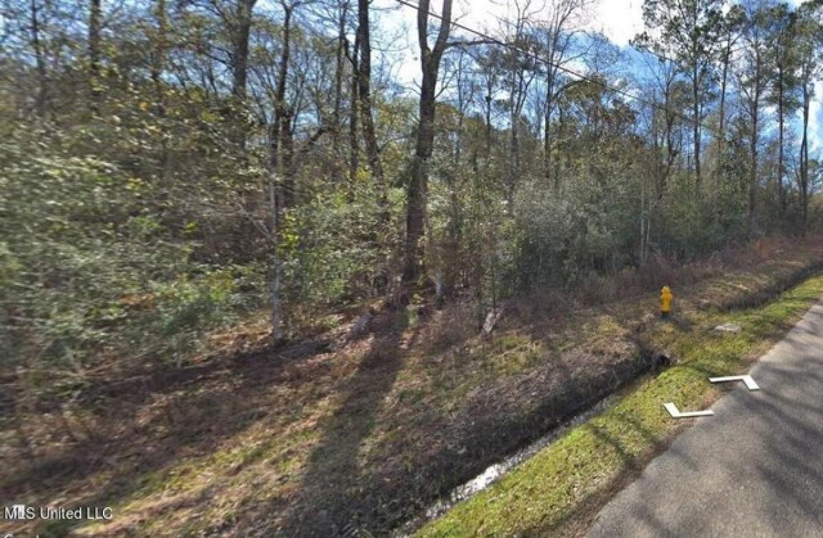 Picture of Residential Land For Rent in Pearlington, Mississippi, United States