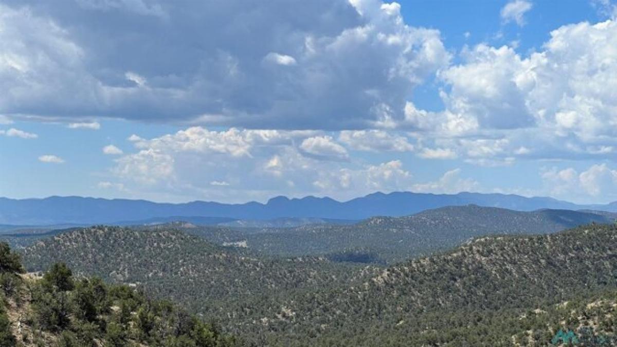 Picture of Residential Land For Sale in Pie Town, New Mexico, United States