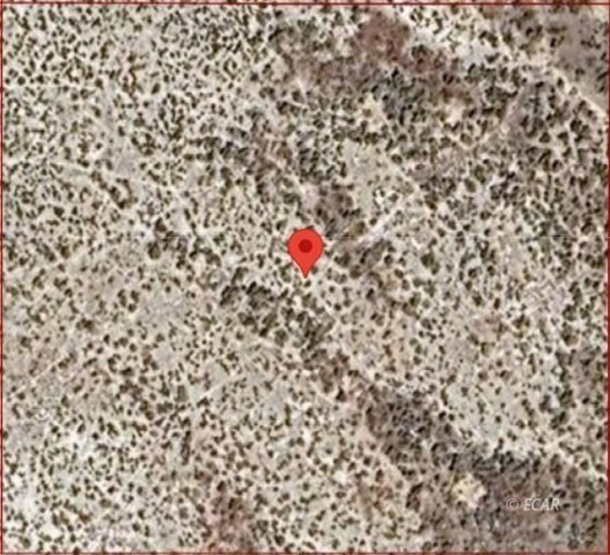 Picture of Residential Land For Rent in Elko, Nevada, United States